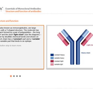Essentials of Monoclonal Antibodies