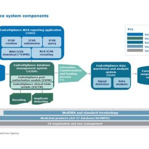 Clinical Trial Safety Reporting Requirements in the EU and USA